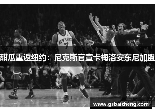 甜瓜重返纽约：尼克斯官宣卡梅洛安东尼加盟